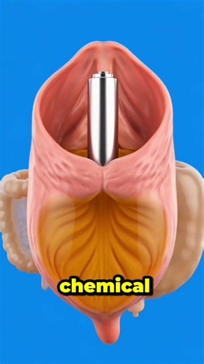 This ultra-realistic 8K medical animation reveals the internal consequences of alkaline battery