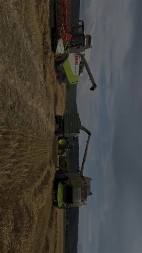 Dreschen 2025 🌾🚜 #dreschen #2025 #claas #johndeere #getreide