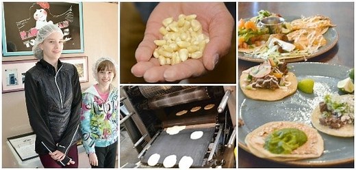 5 Fun Farm to Table Activities for Kids - Imagination Soup