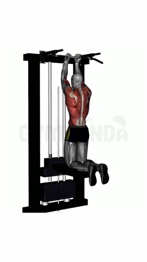 Assisted Pull-up - Perfect Form Guide #shorts