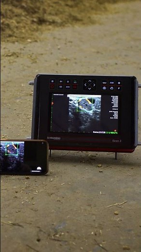 Dramiński iScan 3 ultrasound scanner with ✔️ colour Doppler mode