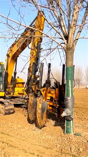 Tree Spade System: Effortless Tree Removal & Transport! #TreeSpade #HydraulicMechanism #TreeRemoval