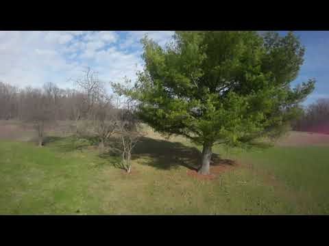 flying with new low pitch props