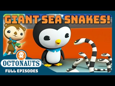 ‪@Octonauts‬ - 🌊 Giant Sea Snakes 🐍 | 30 Mins+ Full Episodes Marathon