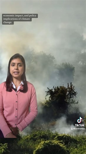 Business and Climate Change is an online course that will teach you to identify and communicate climate risks and opportunities and implement relevant strategies. Learn more: https://hbs.me/5n6wwf57 | Harvard Business School Online