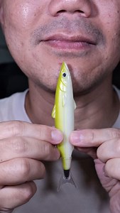 79K views · 1.6K reactions | Fish Pen ASMR  | Doctor Tristan Peh | Facebook