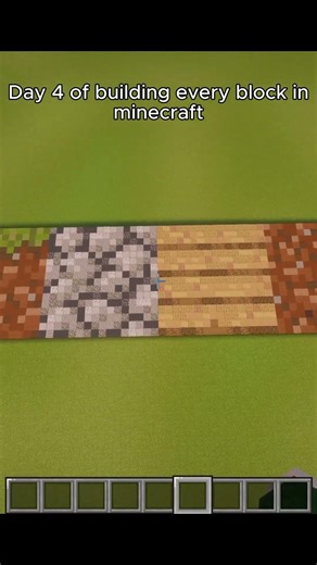 Building Every Block in Minecraft Day 4
