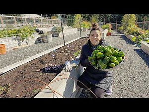 Just when you think it's over... we start again!! Starting 2026's Garden!