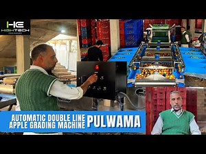 Double Line Automatic Apple Grading Machine in Pulwama by High Tech Engineers - 99920-99970