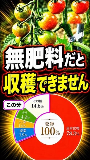Why Fertilizer Is Like Business Management: The Secret to Perfect Timing for Summer Vegetables & ...