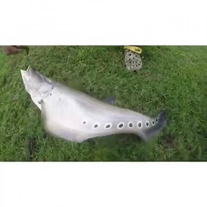 Check out Hardtymesfishing catch a clown fish! https://www.youtube.com/channel/UC3QDX__xVS8mzjum1x-46lg | Chasing Fishhound