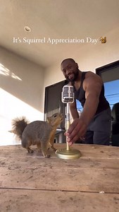 Maxine’s cousin Lil Rey Rey living in a rotten tree right now so just be easy on these squirrels out here today and the days to follow! 🐿️ #squirrelappreciationday | Derrick Downey Jr.