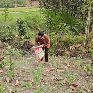 17K views · 263 reactions | There was a homeless single mother who followed the girl home without her knowing, | Single Mom Mother life | Facebook