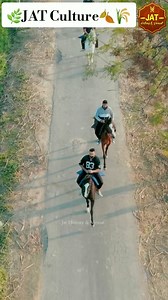 JAT-Sythian Culture🦁⚔ Horses & JAT's❣ #जाट #jatt #jattmind #jattlife #jat | The JattStation