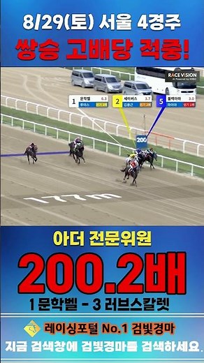 [Seoul Horse Racing] August 29th Saturday Race 4, Expert Arther's high-payout exacta hit #horsera...