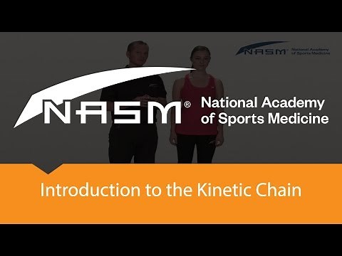 Introduction to the Kinetic Chain