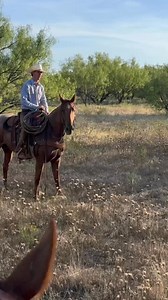 This always happens. | Rodeo Time