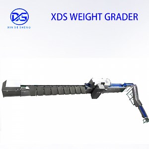 [Hot Item] Optical Potato Sorting Machine, Automatic Inspection Machine Fot Potato Defects