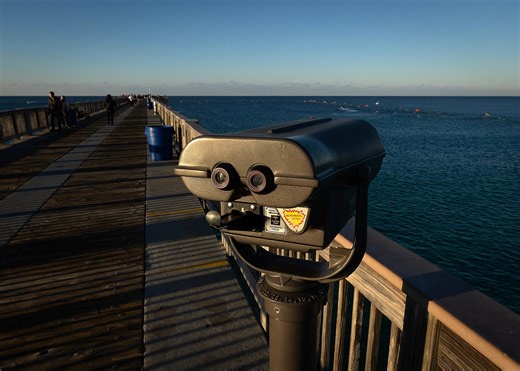 Red tide continues to fester in St. Andrews Bay