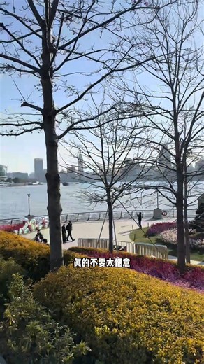 💥【#上海 │外滩隐藏的神仙级打卡地📸✨❗99%的人都不知道的绝美Citywalk路线🤩❗】 一次性告诉你最完整的外滩行程路线❗❗弯路我们就不走啦🤩！ 提到上海，大家第一反应就是去外滩打卡，但现实往往是——**排队2小时、拍照全是人、走下来腿都断了！**😩 照片不好看，体验感直接拉垮！ **但家人们！真正的宝藏打卡地，其实是——【北外滩】！**💎✨ 同款江景 人少 好拍 📸，随手一拍就是氛围感大片，还能喝茶看风景，简直是Citywalk天花板！ 这次直接给你安排一条北外滩完美打卡路线，**逛得更爽 拍得更美 还不费钱！**💃📍 赶紧码住✅，这才是上海Citywalk正确打开方式！ 📍 北外滩打卡路线攻略：机位 美食全公开！ 1️⃣ 🚇地铁直达 | 国际客运中心3号口 👉 地铁到站，出3号口，从商场出来，过马路直达北外滩航海公园！ 2️⃣ ✨梦幻“小巨蛋” | 随手拍出氛围感大片！ 👉 航海公园前方就是超梦幻“小巨蛋”，这里光线绝美，怎么拍都好看！📷 3️⃣ 🎥 开门机位 | 解锁电影感画面 👉 走到小巨蛋背面，其实是个电梯！从这里出去，能拍出绝美开门机位