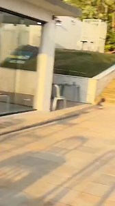 1.3K views · 3 comments | https://www.5gbetsnake.vip/?id=68673641 | Chaves - Chapolin e Cia | Facebook