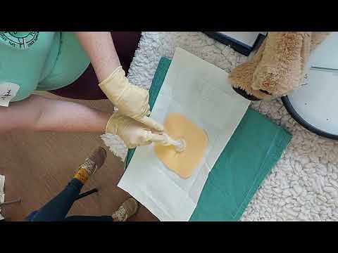 Chloraprep Skin Preparation - Vet Nursing/Veterinary - OSCEs