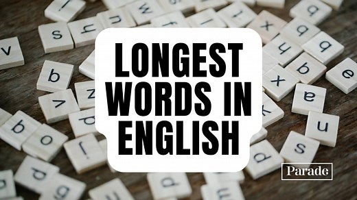The 20 Longest Words in English and Their Meanings