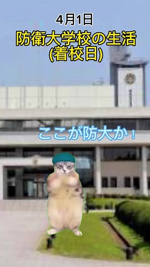 猫ミーム: 防衛大学校での面白い瞬間