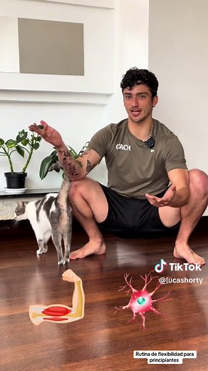 Rutina de Flexibilidad para Principiantes | Mejora Tu Movilidad