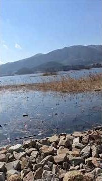 Chuncheon Lake Crossing Spring Carp Fishing Spot 26.3.7