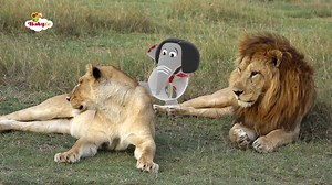 Join BabyTV as we celebrate World Wildlife Day with fun songs and magical shows that introduce your little one to the fantastic species around us and why they depend on our support. | StarTimes | Facebook