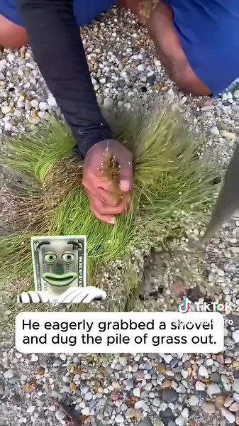 Understanding the Yap Australian Dollar: A Guide