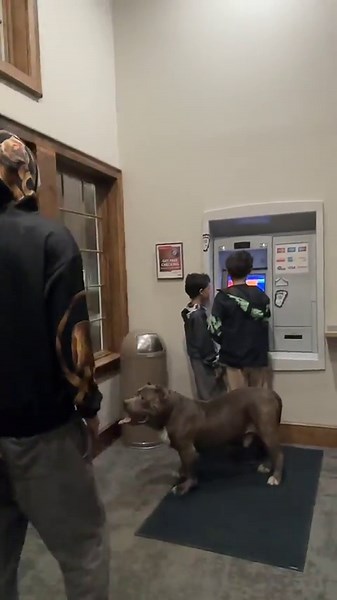 Giant Pitbull Protects Two Boys From Attack At ATM