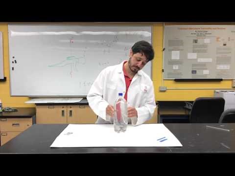 Cartesian Diver construction and explanation