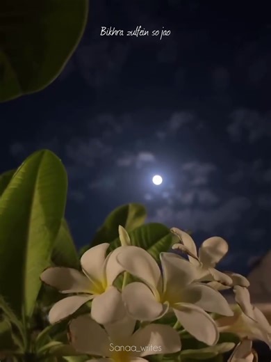 Exploring 90s Nostalgia with Sanaa Writes