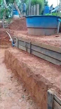 SISTEMA PRODUTIVO DE PEIXES DO NILSON GOMES!!