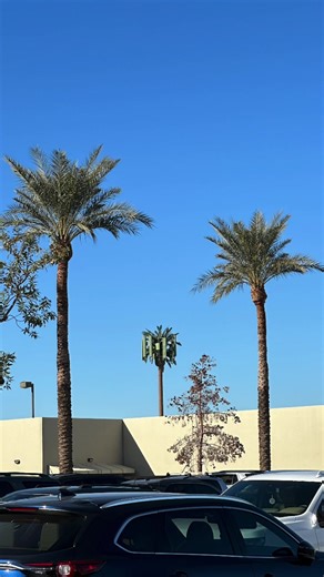 Who are they trying to fool? The Fake cell tower / Tree is hilarious to me. I guess if your phone is getting a signal from that, then you’re literally talking with a tree!🌴 -DJ Walker | KAT Country 103