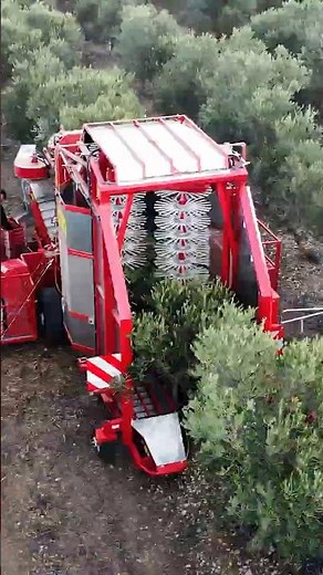 Revolutionizing Harvest Time! The FULL-ROW Trailed Shaker Using Vibration Technology 🍏🍇