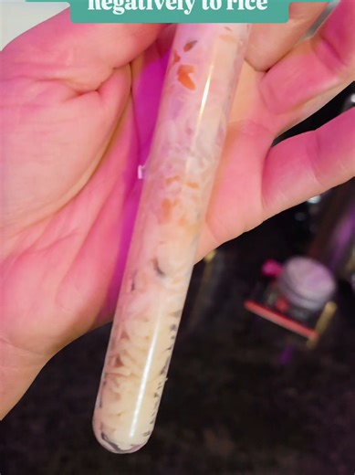 day 16 Speaking positively versus negatively to rice to see what effects it has on the quality over time. results continuing to surprise me. cause and effect. #fyp #experiment #science #scienceexperiments #energy