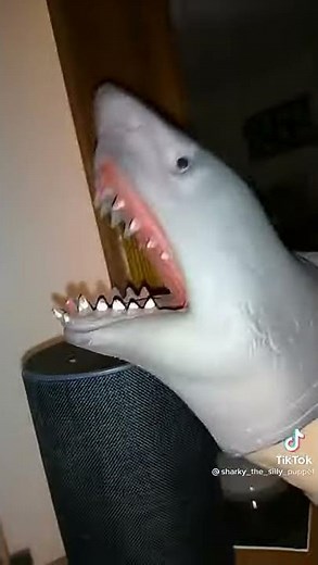 Shark Puppet Tells Alexa to Fart (TikTok)