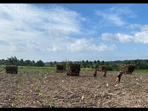 The WEIRDEST Tractors Ever Made