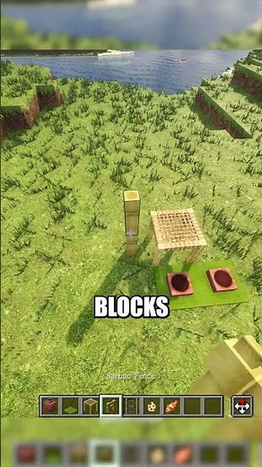 Minecraft Cat Play Area Build Pet Bowls + Toy #minecraft #minecrafttutorial