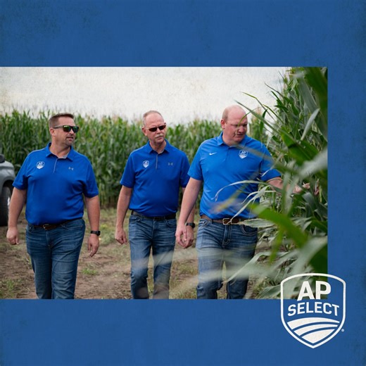 0% interest. Better results in every acre. Contact us to lock in premium seed and flexible financing today. | AP Select | Facebook