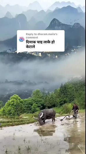 Replying to @dharam.maila #foryou #fypシ #tiktiknepal🇳🇵🙏❤️🎶🏡 #_birahi_maya_