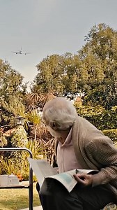 Wild tales | Smart Channel