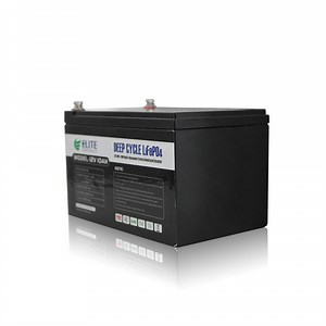 [Hot Item] Elite Deep Cycle Recahrgeable LFP 12V 12ah Lithium Iron Phosphate LiFePO4 Li-ion Battery for RV/Caravan/Mobile Home/Energy Storage System