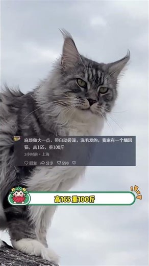 This isn't a pet washing machine, it's an incredibly lazy person's automatic bathing machine! #Pe...