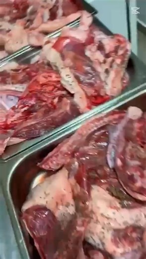 🌟 Přípravy na naše Svatomartinské menu jsou v plném proudu! 🌟 🍴 Co Vás čeká: Předkrm: Husí paštika s cibulovou marmeládou, brusinkami a pečeným toustem Polévka: Husí vývar s domácími játrovými i žemlovými knedlíčky a domácími nudlemi Hlavní jídla: Čtvrtka husy s červeným zelím (badyán, skořice, pomeranč), bramborové a houskové knedlíky, sušené jablečné křížaly Čtvrtka kachny s moravským zelím, bramborové knedlíčky plněné uzeným masem s cibulkou Grilované kachní prso sous-vide s dýňovým pyré, 