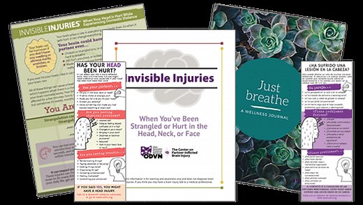 Brain Injury - Ohio Domestic Violence Network
