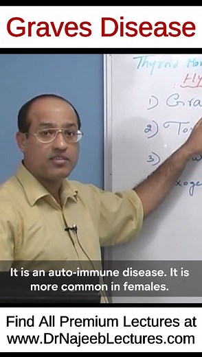 Graves Disease This Reel is a clip from the "Physiology of Thyroid Hormone Part 4" To watch this complete lecture please visit our website. 👇🏻👇🏻👇🏻 www.drnajeeblectures.com If you Sign Up Now you can get lifetime access to our premium lectures for just $45 ONLY. So hurry up and sign up now. The link is below. 👇🏻👇🏻👇🏻👇🏻👇🏻👇🏻👇🏻👇🏻👇🏻 https://members.drnajeeblectures.com/courses/Dr-Najeeb-Lectures-64b6a71fe4b07805c2a499c2-64b6a71fe4b07805c2a499c2 | Dr. Najeeb